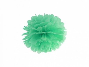 Pompom 25cm Mint