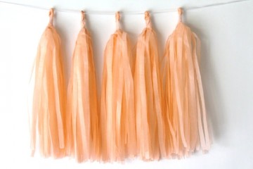 Tassel DIY peach (5st)